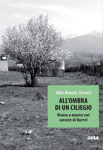 All Ombra Di Un Ciliegio