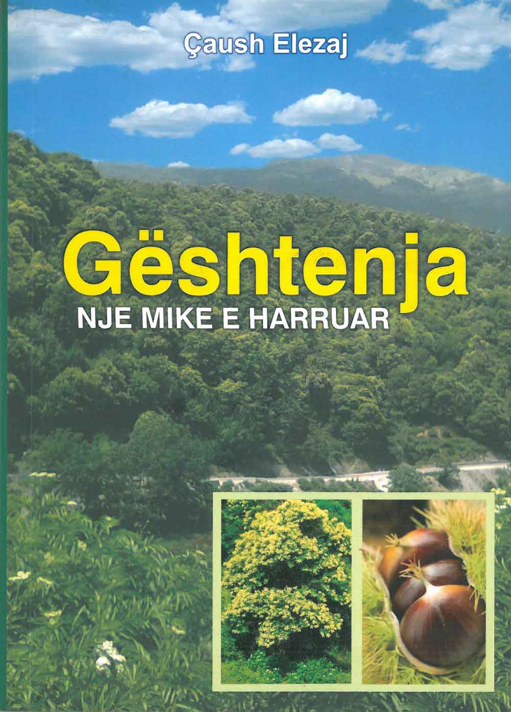 Geshtenja, Nje Mike E Harruar