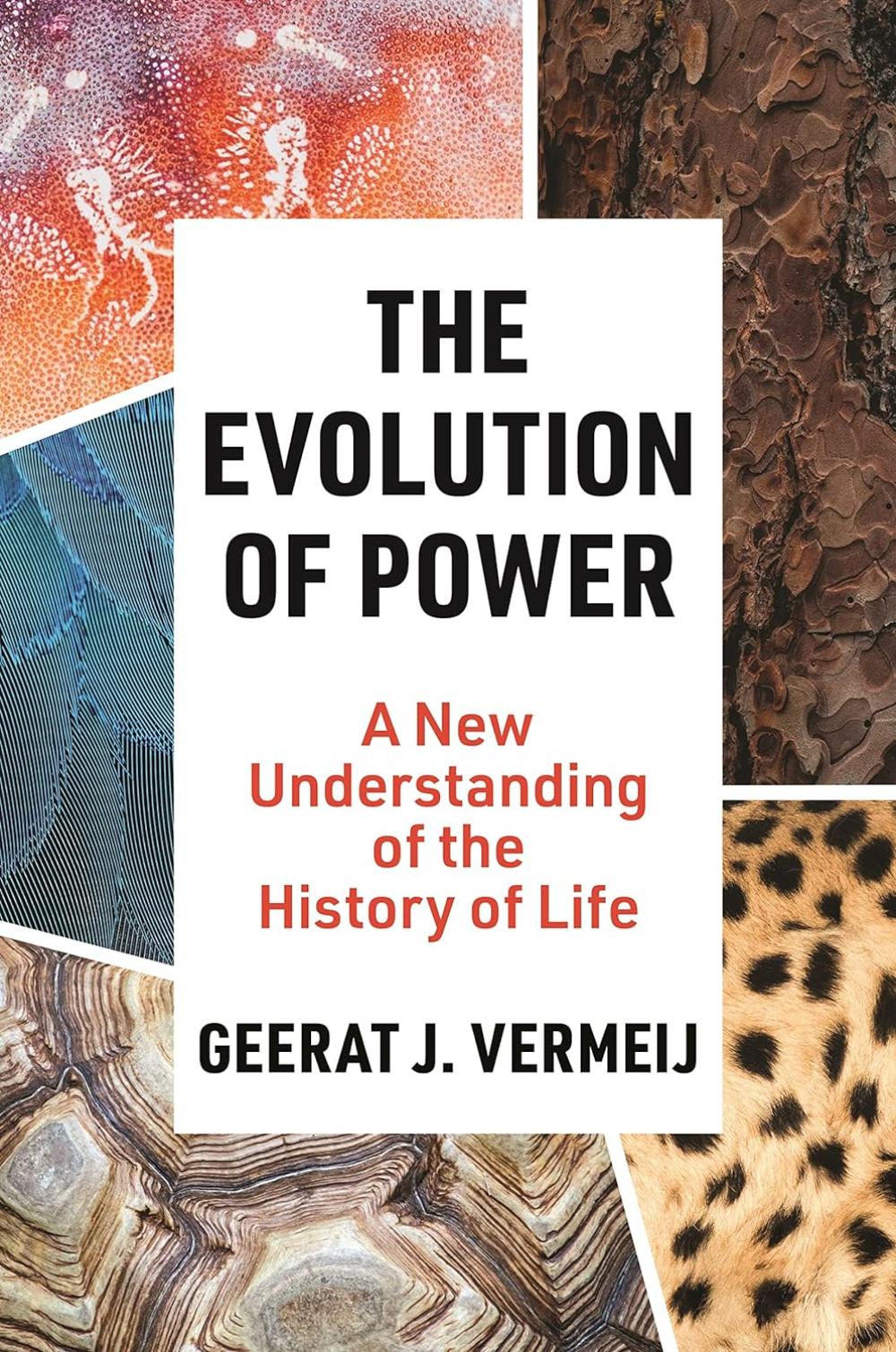 THE EVOLUTION OF POWER: A NEW UNDERSTANDING OF THE HISTORY OF LIFE
