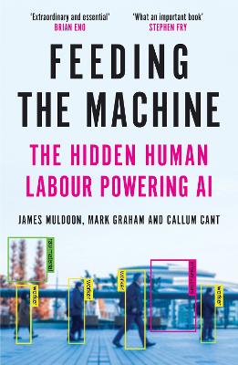 FEEDING THE MACHINE: THE HIDDEN HUMAN LABOUR POWERING AI