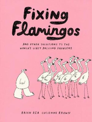 FIXING FLAMINGOS: AND OTHER SOLUTIONS TO THE WORLD