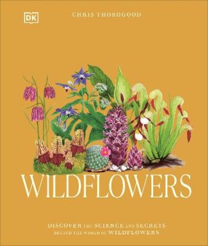 WILDFLOWERS