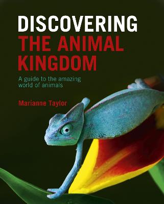 DISCOVERING THE ANIMAL KINGDOM: A GUIDE TO THE AMAZING WORLD OF ANIMALS