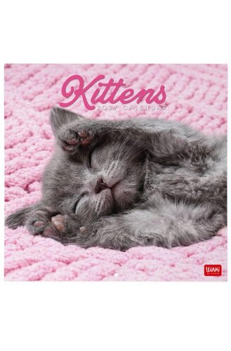 WALL CALENDAR 2027 - CATS