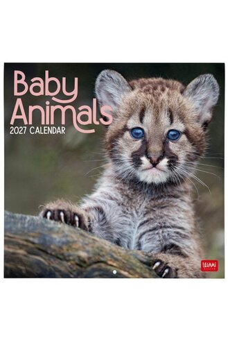 WALL CALENDAR 2027 - ANIMALS