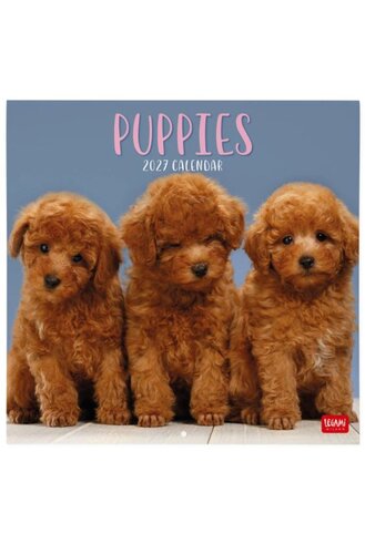WALL CALENDAR 2027 - DOGS