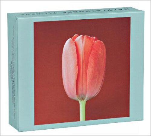 MAPPLETHORPE FLOWERS QUICKNOTE