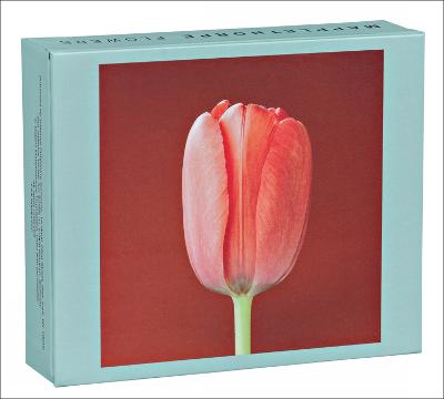 MAPPLETHORPE FLOWERS QUICKNOTE